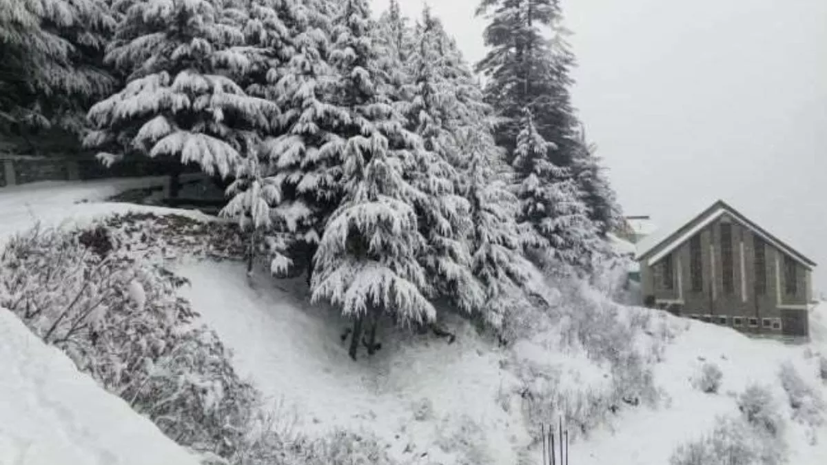 Himachal Weather कुफरी और मशोबरा में बिछ गई बर्फ की सफेद चादर, लोगों