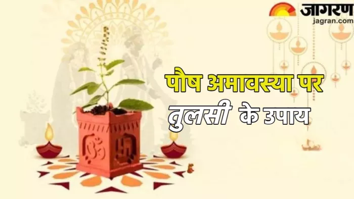 Paush Amavasya 2024: साल की पहली अमावस्या पर करें तुलसी के ये उपाय।