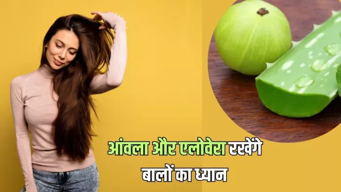 बालों को मजबूत बनाने के लिए करें आंवला और एलोवेरा का इस्तेमाल (Picture Courtesy: Freepik)