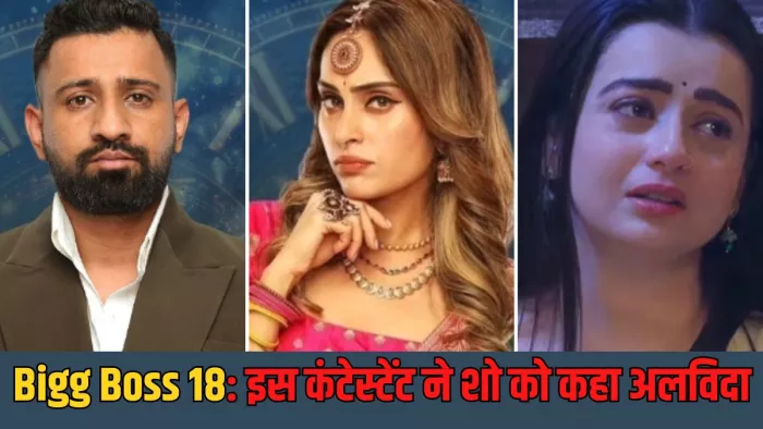 बिग बॉस 18 में ग्रैंड फिनाले से पहले ये कंटेस्टेंट हुआ बाहर/ फोटो- Instagram