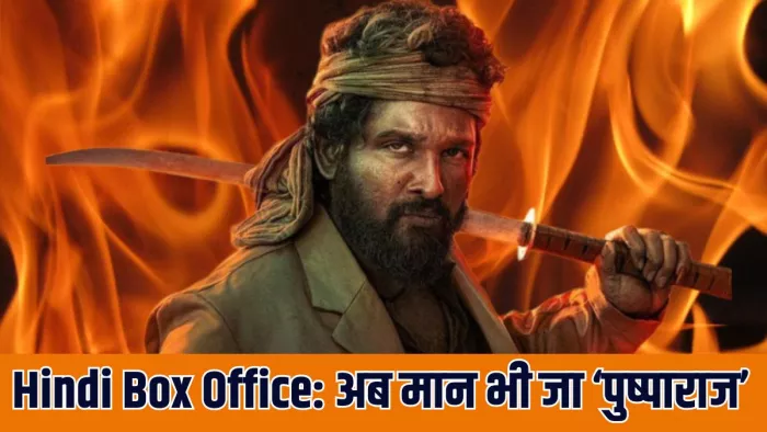 पुष्पा 2 हिंदी बॉक्स ऑफिस पर 35वें दिन मचा रही है गदर/ फोटो- X Account