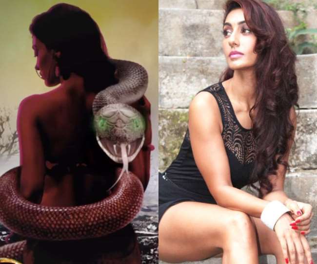 https://www.jagranimages.com/images/newimg/09022022/09_02_2022-nagin_mahek_22452094.jpg