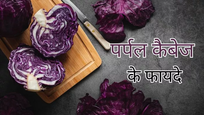 क्या आप जानते हैं बैंगनी पत्तागोभी के फायदे?