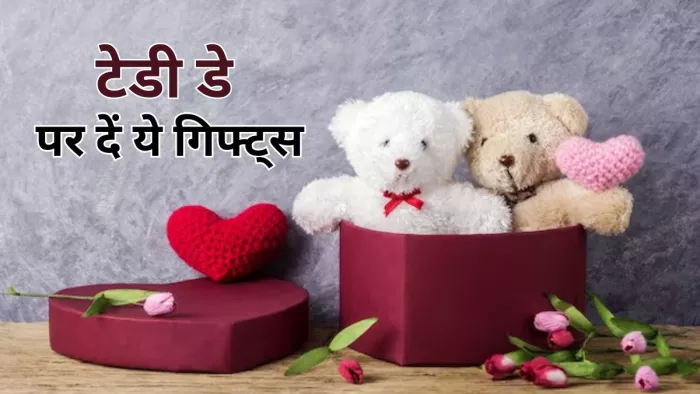 इस टेडी डे अपने पार्टनर को दें सकते हैं ये गिफ्ट्स