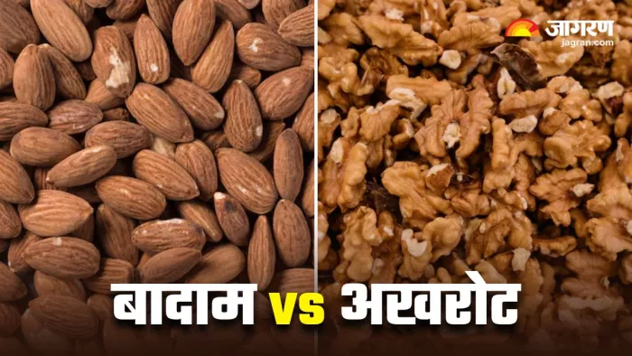 Brain Health के लिए बादाम खाएं या अखरोट, जानें क्या है ज्यादा फायदेमंद (Image Source: Freepik)