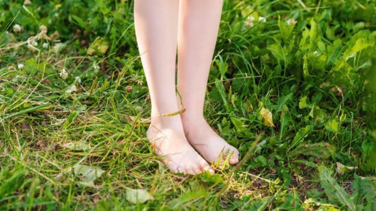 https://www.jagranimages.com/images/newimg/09022025/09_02_2025-barefoots_on_grass_23881332.jpg