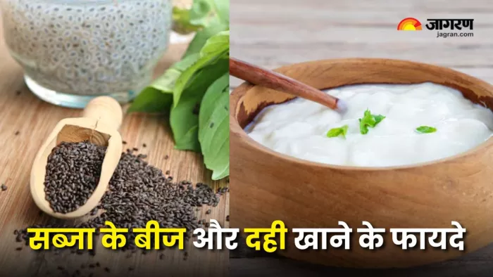 दही में सब्जा के बीज मिलाकर खाने से मिलेंगे कई फायदे (Picture Courtesy: Freepik)