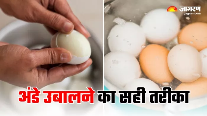 Correct Way To Boil Eggs: अंडे उबालने का सही तरीका नहीं जानते आप? (Image Source: Freepik)