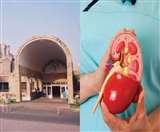 नए फ्लूड से शरीर में संतुलित रहता है सोडियम-पोटैशियम, जमा नहीं होता पानी ।