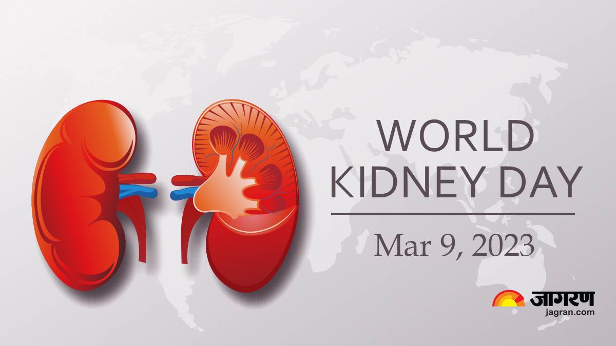https://www.jagranimages.com/images/newimg/09032023/09_03_2023-world-kidney-day-_009_23350836_121350283.jpg