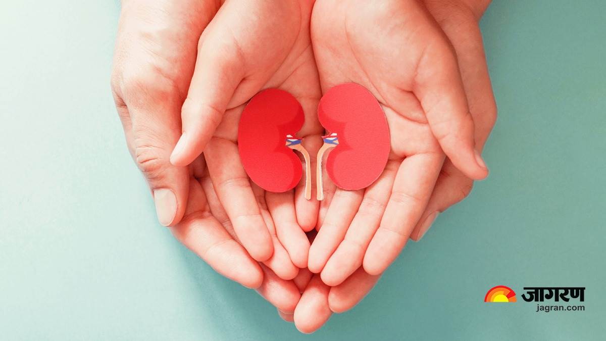 https://www.jagranimages.com/images/newimg/09032023/09_03_2023-world_kidney_day_23350827_115625217.jpg