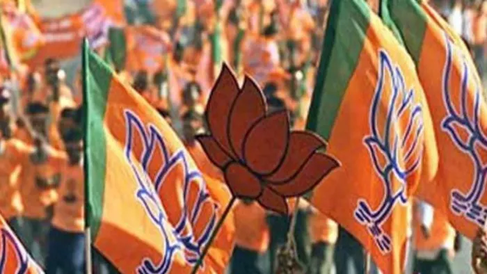 Lok Sabha Election 2024: पीर-पंजाल की पहाड़ियों के बीच कमल खिलाने की जुगत में जुटी भाजपा