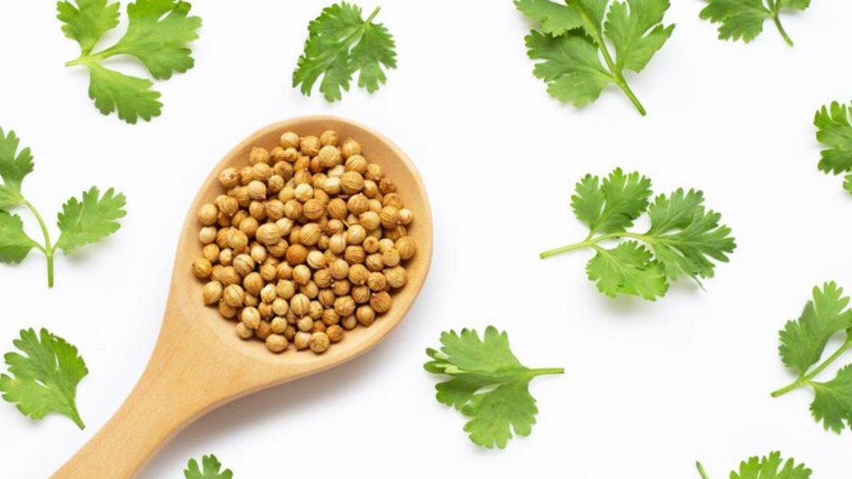 https://www.jagranimages.com/images/newimg/09032024/09_03_2024-coriander_seeds_23670585.jpg