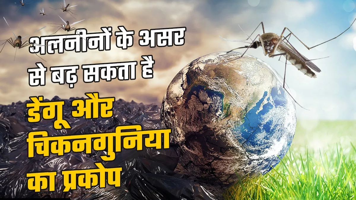 जलवायु परिवर्तन से मच्छरों के अनुकूल हुआ मौसम, इस वर्ष सामान्य से ज्यादा होगी गर्मी तो बीमारियों का खतरा भी बढ़ेगा