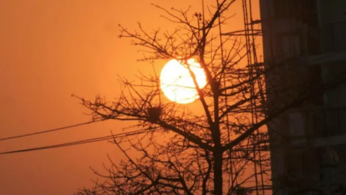पतझड़ के बीच सूर्य की बिखरती लालिमा। अभिनव राजन चतुर्वेदी