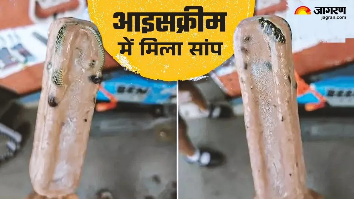 Ice Cream का रैपर खोलते ही निकल गई चीख! अंदर निकला जमा हुआ सांप; फोटो देख हर कोई हैरान