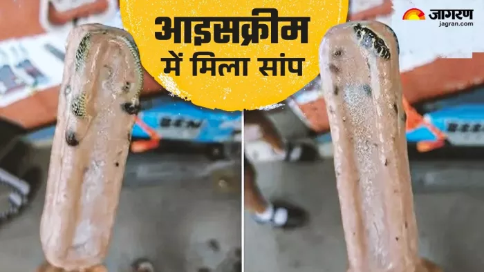 Ice cream wrapper आइसक्रीम में निकला सांप। (फोटो- जागरण)