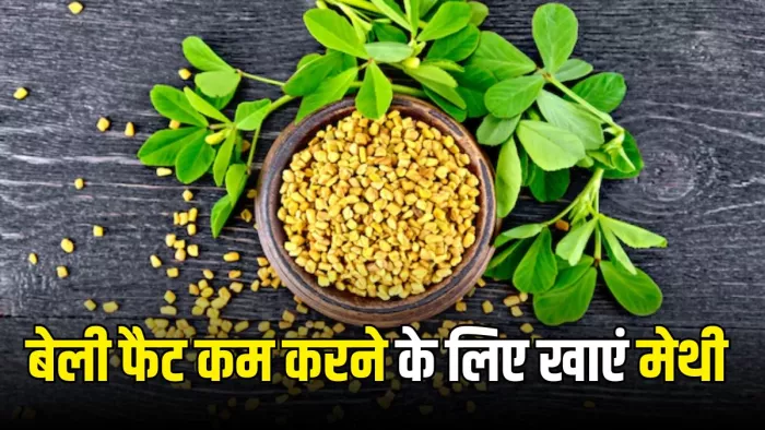 Methi For Belly Fat: मेथी से कम होगा बेली फैट (Picture Courtesy: Freepik)
