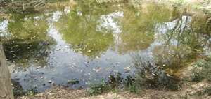 जल संचयन की नजीर, दूर हुई पानी की पीर