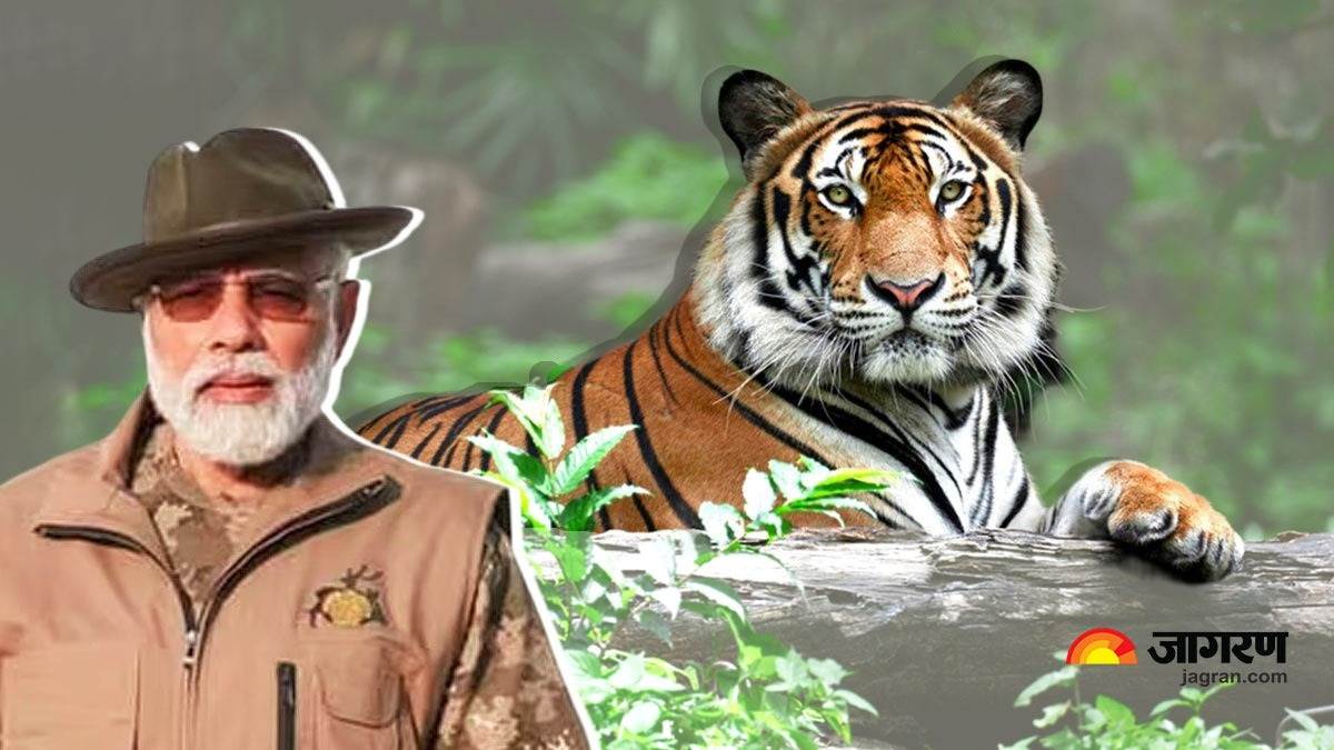 https://www.jagranimages.com/images/newimg/09042023/09_04_2023-pm_modi_and_tiger_23380600_152224754.jpg