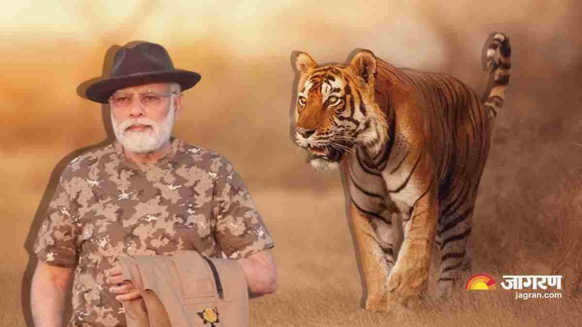https://www.jagranimages.com/images/newimg/09042023/09_04_2023-tiger_project_in_india_23380456_123729840.jpg