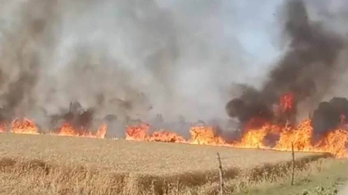 shrawasti news 94 bighas of wheat crop burnt to ashes due to fire