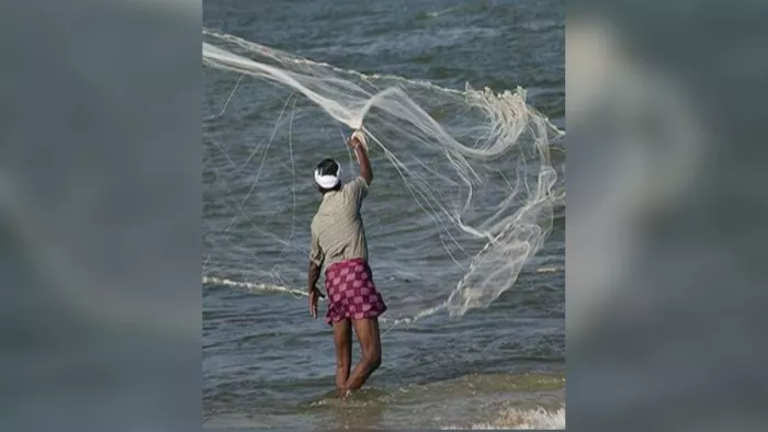 ओडिशा मे पारादीप बंदरगाह क्षेत्र में मछुआरे को मिली 17 तेलिया मछली।