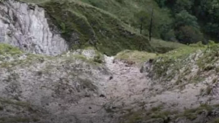 उत्तराखंड में बड़ा हादसा: नैनीताल जिले में दो सौ मीटर नीचे खाई में गिरा वाहन