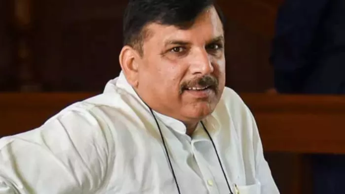शराब घोटाले को लेकर संजय सिंह ने कही ये बात (फाइल फोटो)।