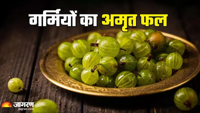 रोजाना आंवला खाने के फायदे (Picture Credit- Freepik)