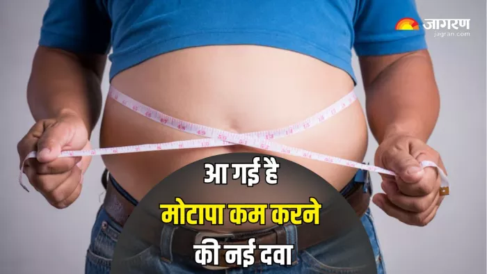 Mounjaro FAQs: मोटापा कम करने की दवा कितनी असरदार? (Picture Courtesy: Freepik)