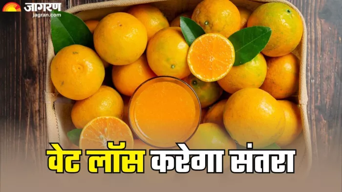 वेट लॉस में मदद करता है संतरा (Picture Credit- Freepik)