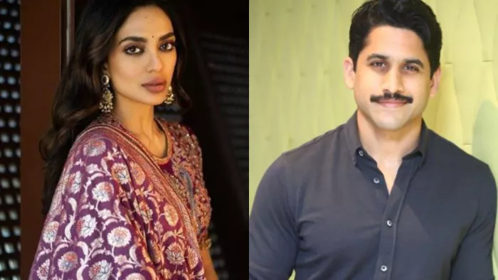 ponniyin selvan 2 actress Sobhita Dhulipala break silence on rumours about dating naga chaitanya/Instagram