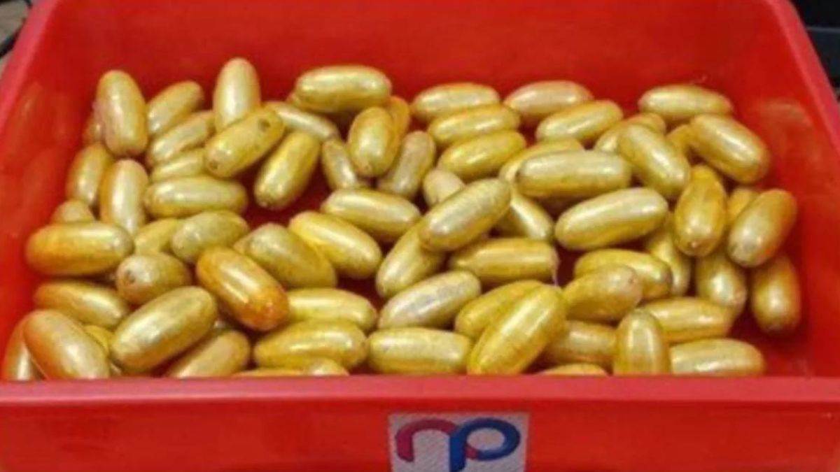 https://www.jagranimages.com/images/newimg/09052024/09_05_2024-cocaine_capsules_23714603.jpg