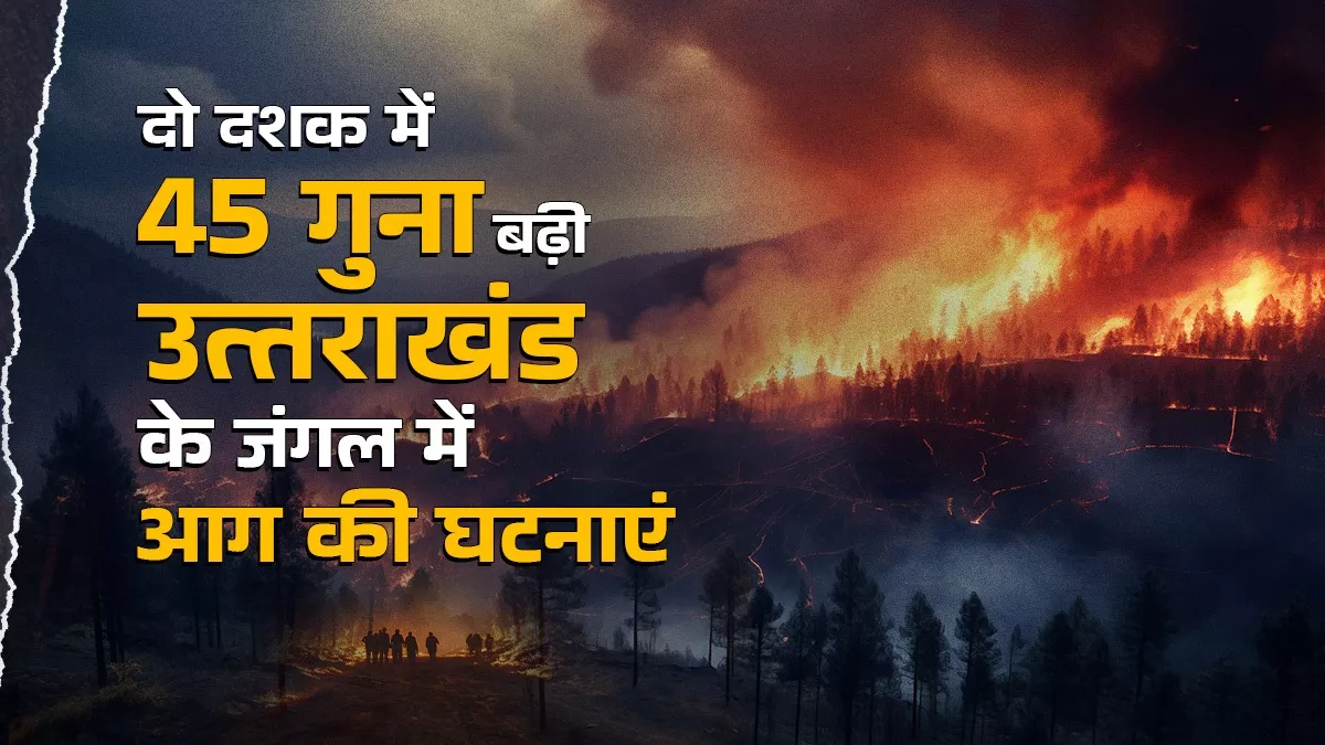 जलवायु परिवर्तन के चलते तेजी से बढ़ रहे जंगल में आग के मामले, वनस्पतियों से छेड़छाड़ भी है बड़ा कारण