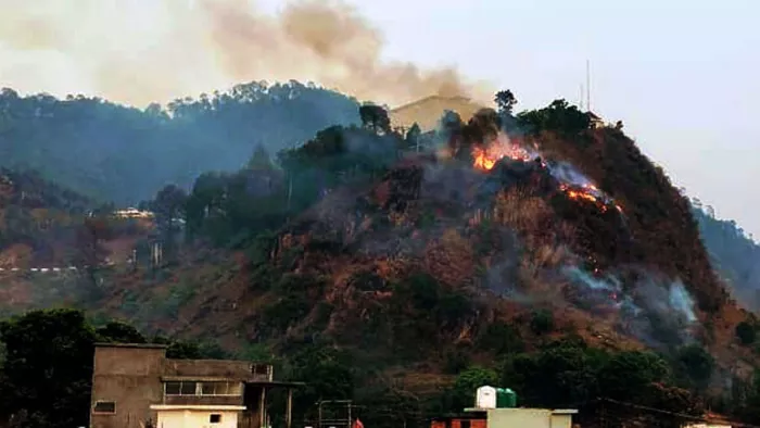 बुधवार को भी प्रदेशभर में जंगल की आग की 40 नई घटनाएं दर्ज की गईं