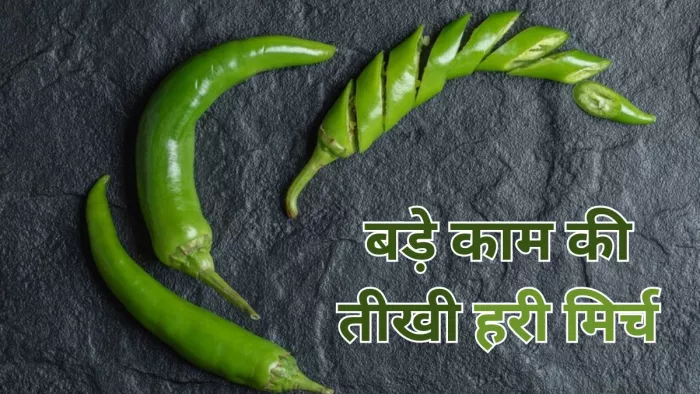 गुणों का खजाना है छोटी-सी तीखी हरी मिर्च (Picture Credit- Freepik)