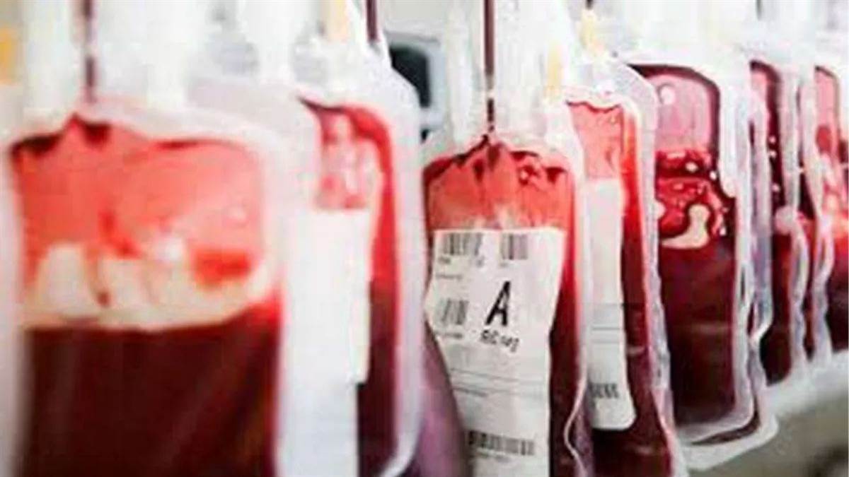 illegal blood trade busted in kaushambi uttarakhand blood sold unscreened