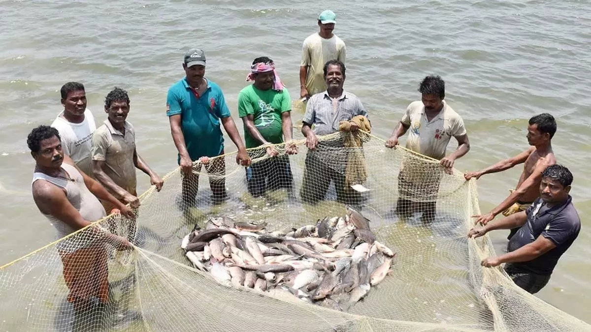 प्रधानमंत्री मत्स्य संपदा योजना के तहत सक्रिय मछुआरों को मिलेगा बीमा का लाभ