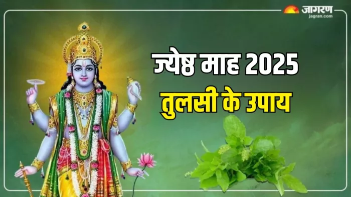 Tulsi Ke Upay: ज्येष्ठ माह में कैसे करें प्राप्त करें मां तुलसी की कृपा