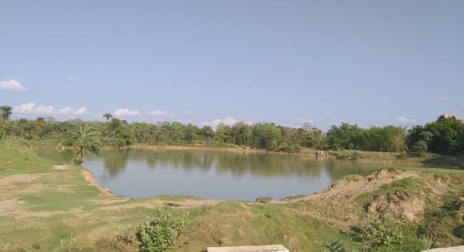 भूगर्भ जल के दोहन से लगातार गिर रहा जलस्तर -