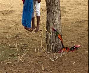 परिजनों ने शादी कराने से किया इंकार तो युगल ने फांसी लगाकर दी जान