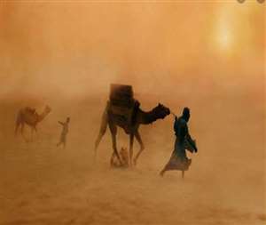 कोरोना पीड़ित की मौत के बाद उसका शव रेत के टीलों में छिपाने का मामला