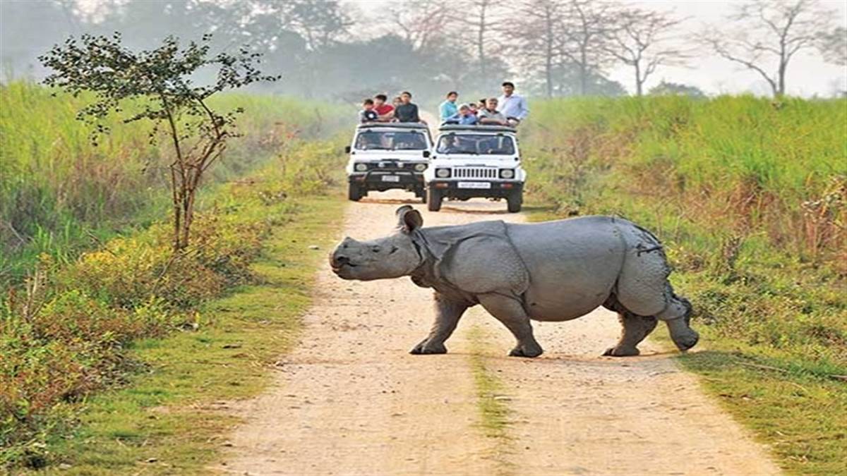 काजीरंगा राष्ट्रीय उद्यान में तेज रफ्तार गाड़ियों पर लगेगी ब्रेक।