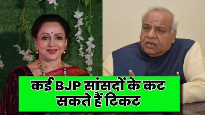 कई भाजपा सांसदों के कट सकते हैं टिकट