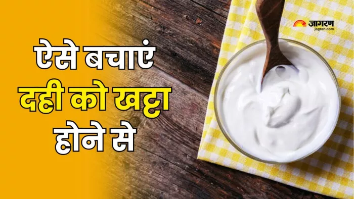गर्मियों में ऐसे बचाएं दही को खट्टा होने से (Picture Courtesy: Freepik)