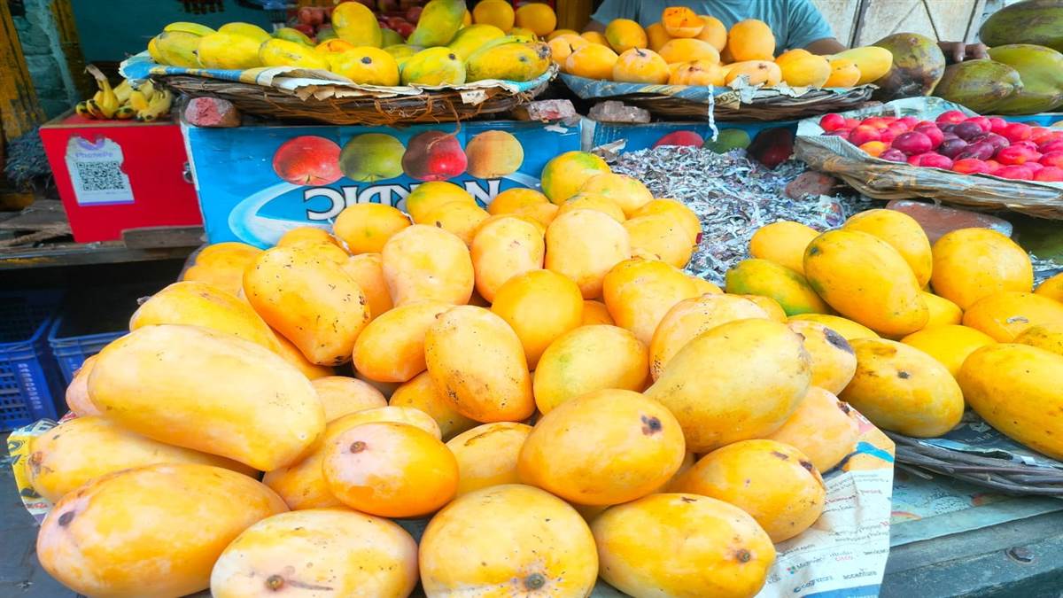 hathras news health risks of calcium carbide ripened mangoes