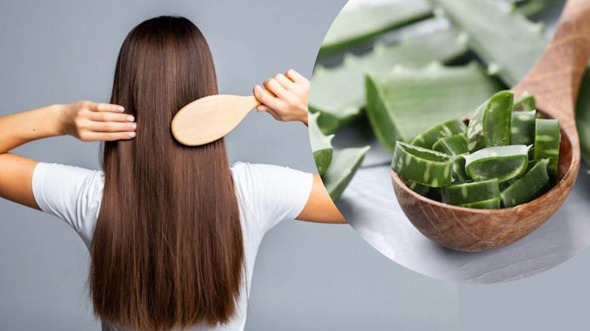 https://www.jagranimages.com/images/newimg/09062025/09_06_2025-aloevera_oil_23958983.jpg