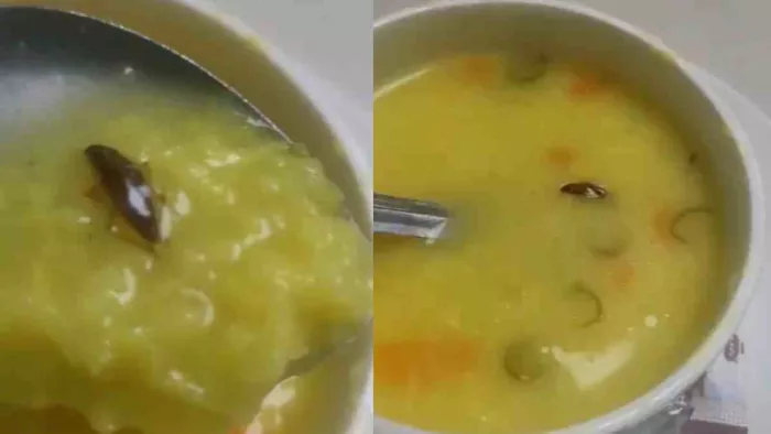 फार्टिस अस्पताल में मरीज को दी खिचड़ी में मिला काकरोच।