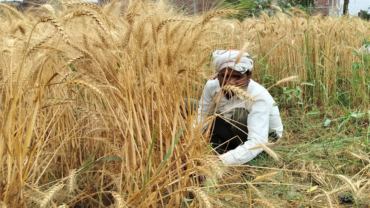 lucknow news developed agriculture sankalp reaches 14 lakh farmers